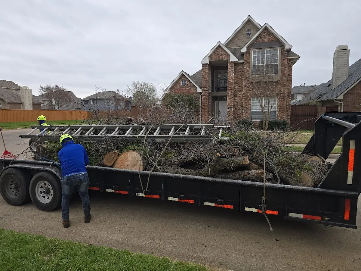 Expert Lot Clearing with proper safety equipment in Maxbass